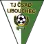 TJ Libouchec